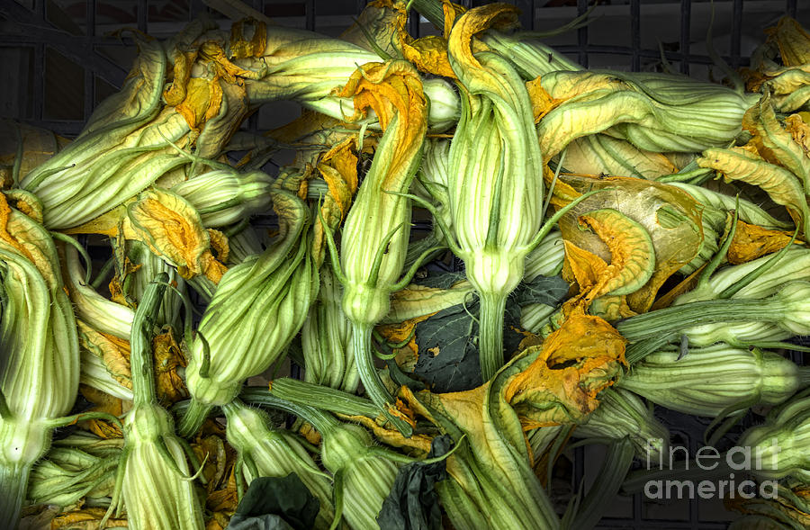 Flowers Still Life Photograph - Fresh courgettes or zucchini flowers by Frank Bach