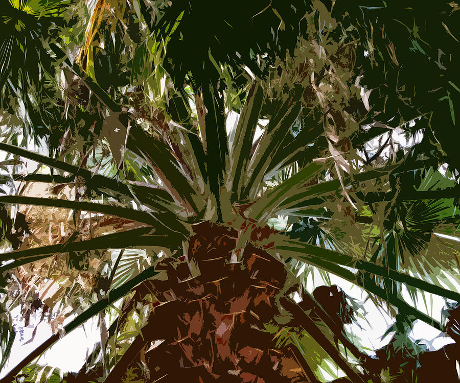 Fresh cut palm 3 Photograph by Alan Metzger
