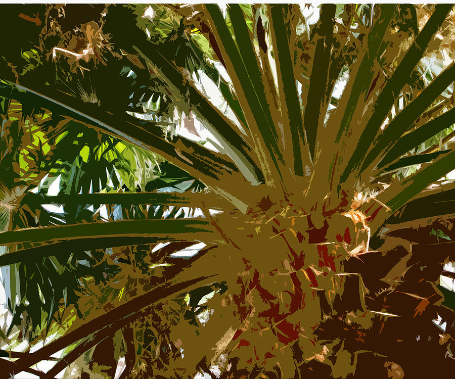 Fresh cut palm Photograph by Alan Metzger