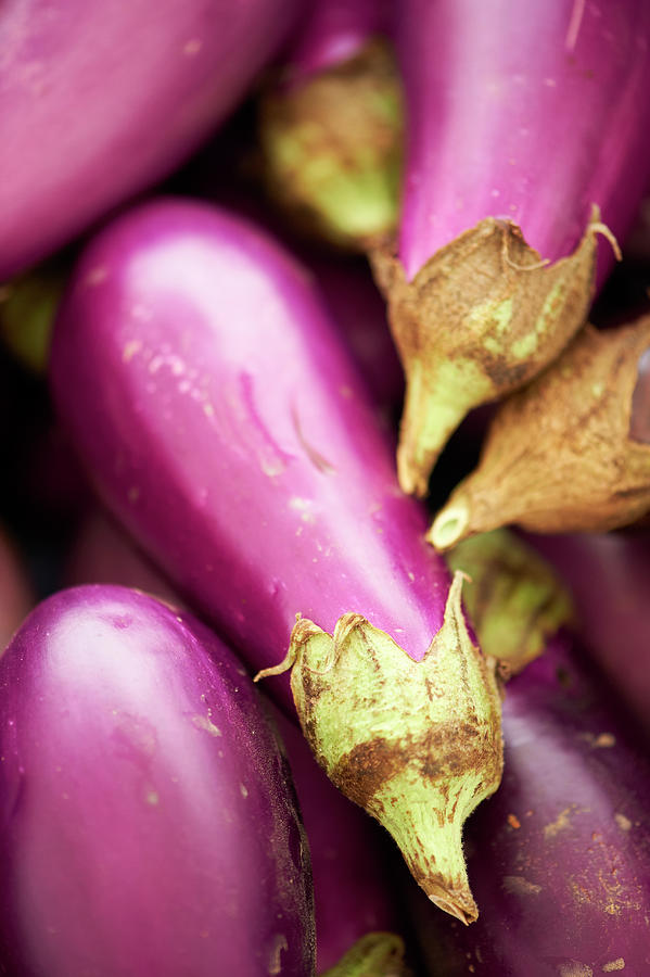 Fresh Eggplants Photograph by Cameron Davidson