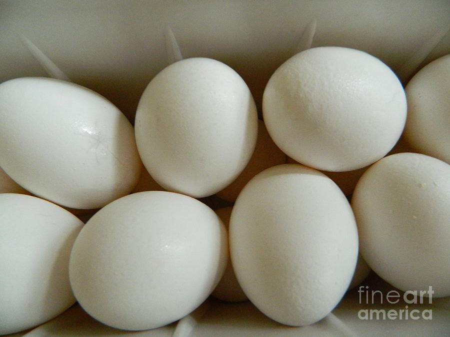 Fresh Eggs Photograph by Emmy Vickers