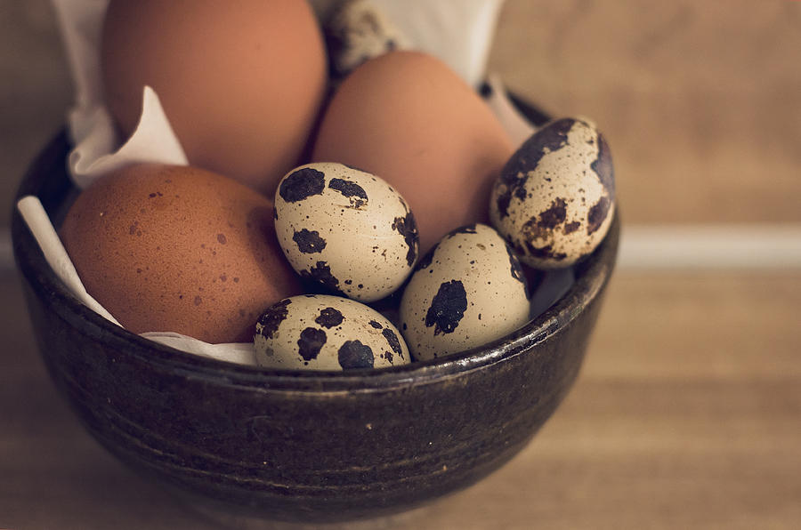 Fresh Eggs Photograph by Heather Applegate