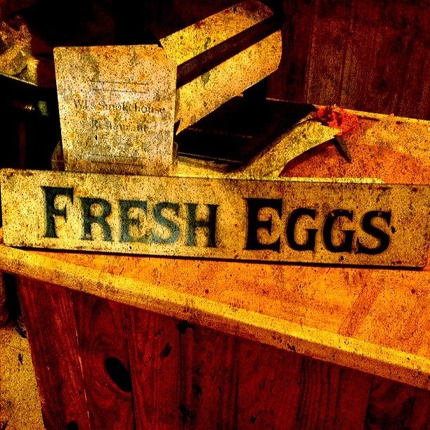 Egg Photograph - Fresh Eggs by Scott Pellegrin