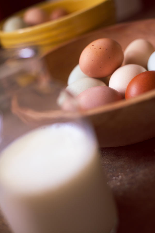 Fresh Eggs  Photograph by Toni Hopper
