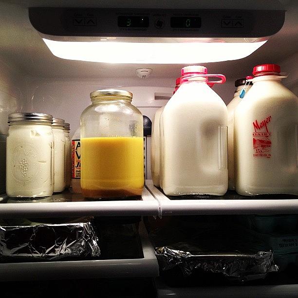 Fresh Farm Milk ~ Golden Turmeric Milk Photograph by All Natural Me