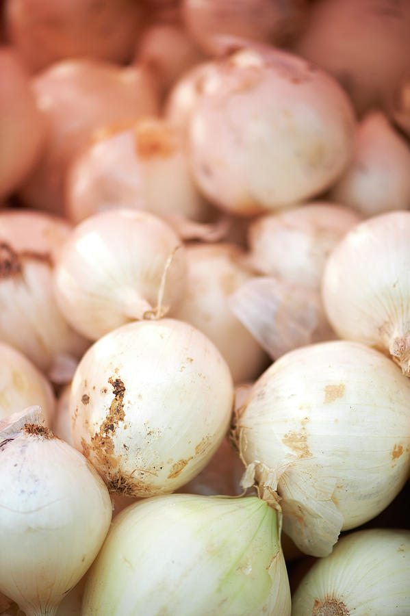 Fresh Farmers Onions Photograph by Cameron Davidson Fresh Farmers Onions Photograph by Cameron Davidson