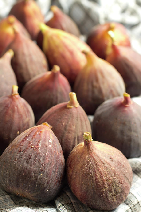 Fresh Figs Photograph by Brian Yarvin