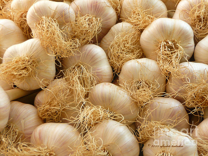 Garlic Photograph - Fresh Garlic and Lots of it by Afroditi Katsikis