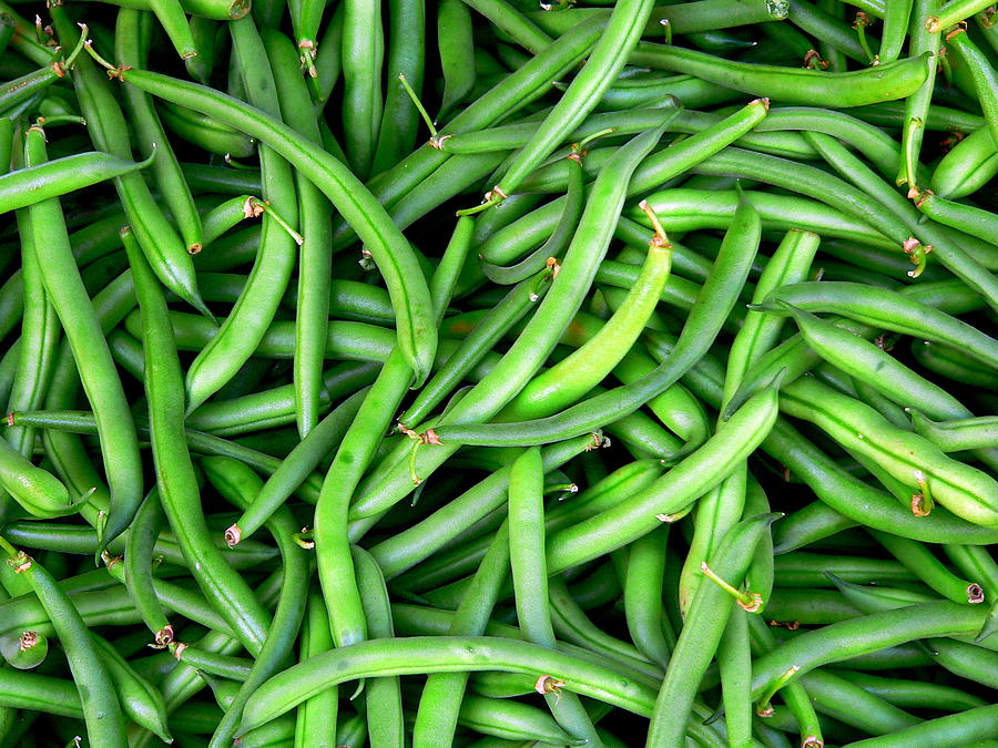 Fresh Green Beans Photograph by Jeff Lowe