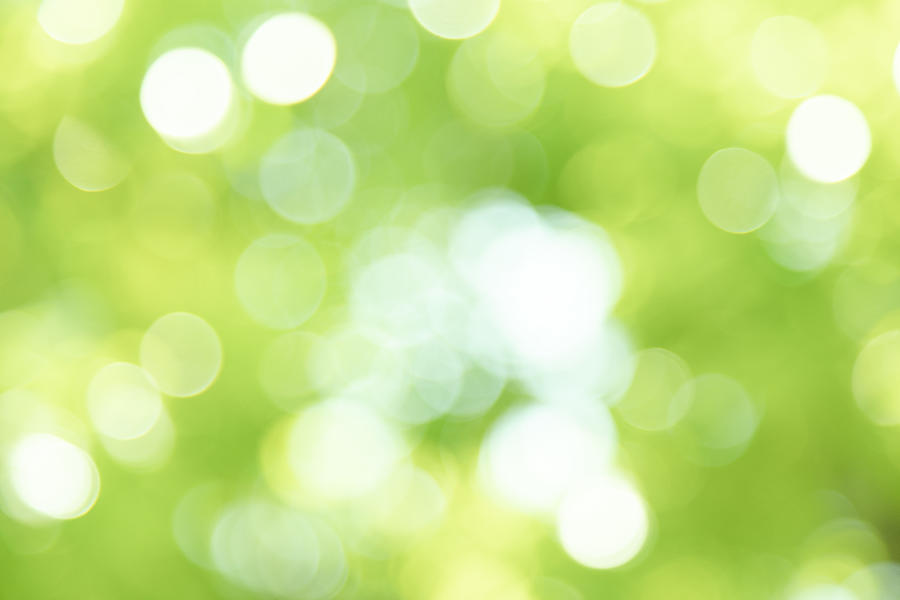 Fresh green blur background Photograph by Katsumi Murouchi