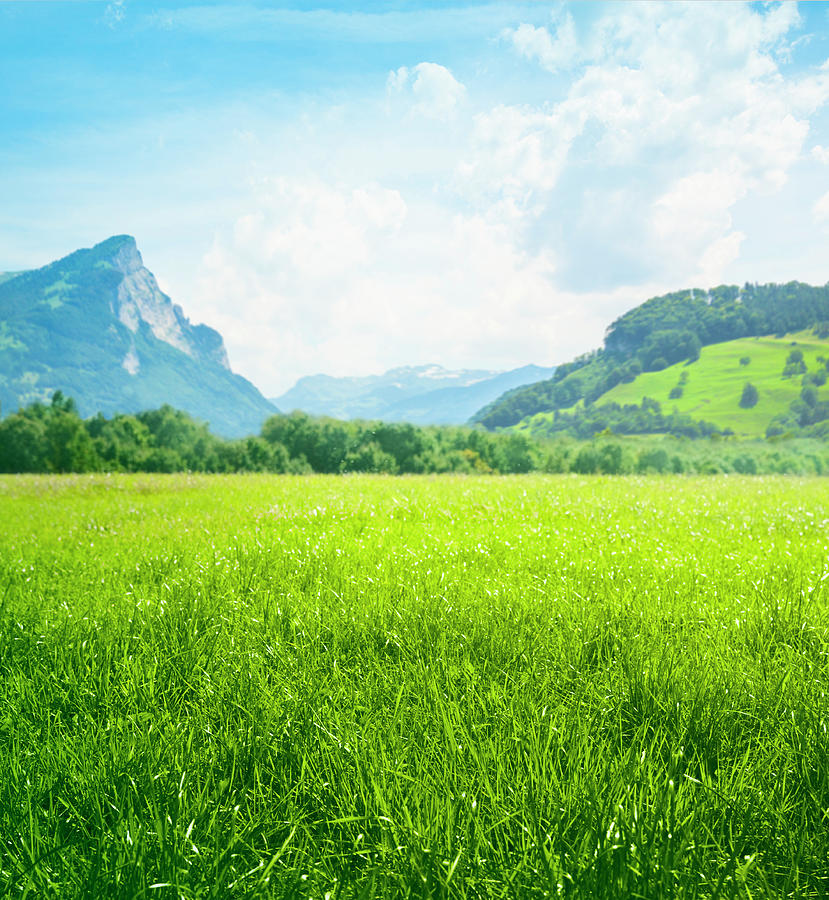 Fresh Green Meadow In Mountains Photograph by Spooh
