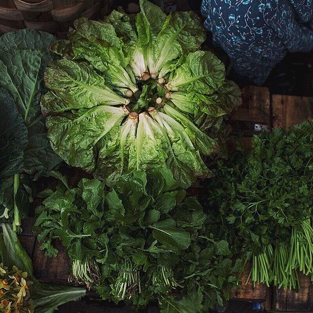 Lettuce Photograph - Fresh Greens At The Safronbolu Market by David  Hagerman