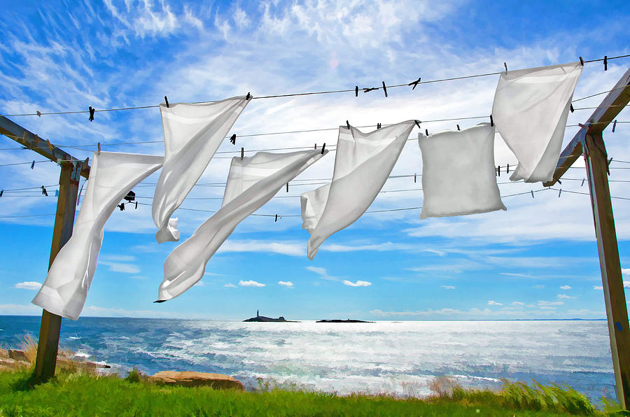 Fresh Laundry Photograph by Donna Doherty