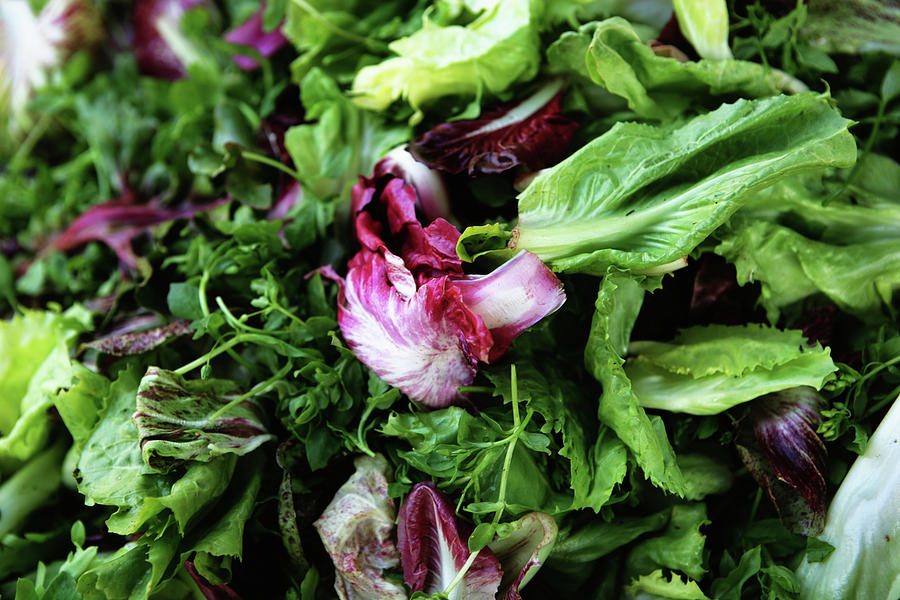 Fresh Leafy Vegetables Photograph By Ron Koeberer Fine Art America