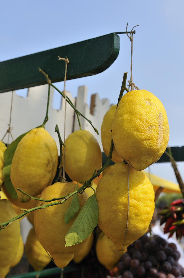 Fresh lemons at the market Photograph by Matthias Hauser