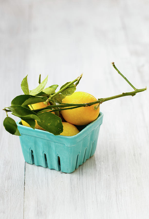 Fresh Lemons In Mint Bowl Photograph by Julia Khusainova