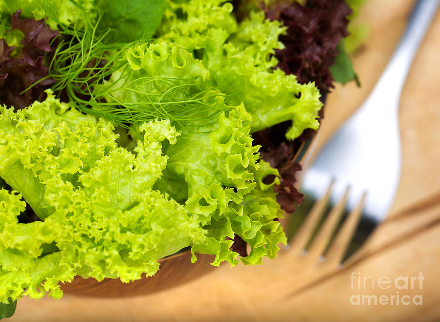 Lettuce Photograph - Fresh lettuce salad by Anna Om