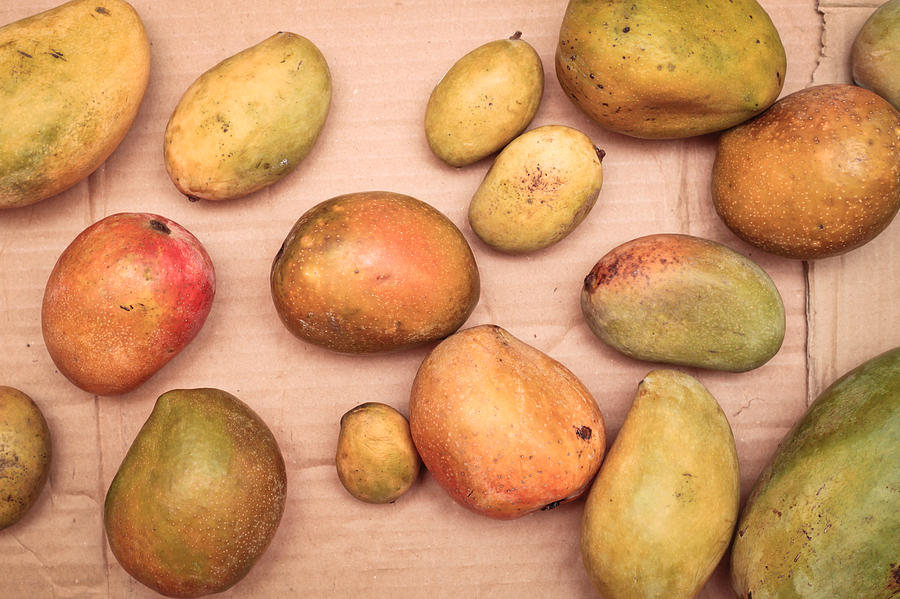 Mango Photograph - Fresh mangos by Tom Gowanlock