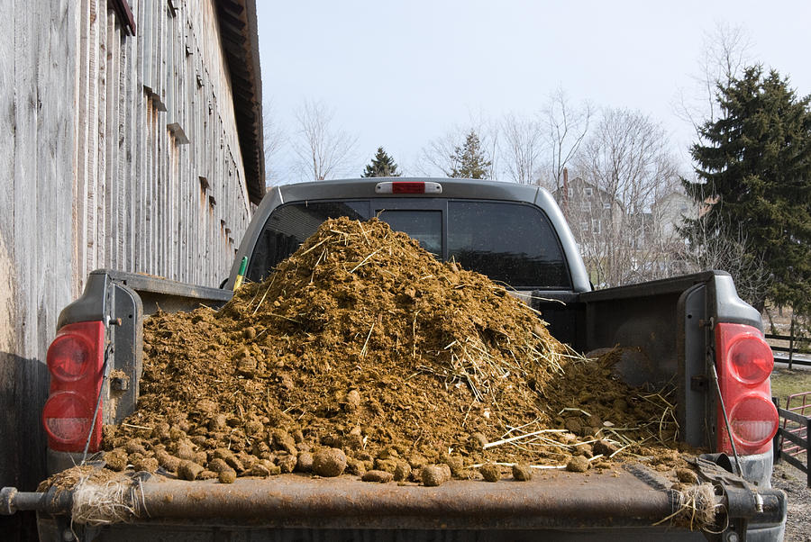Fresh Manure Load on Truck at Barn, Farming and Agriculture Photograph by Catnap72