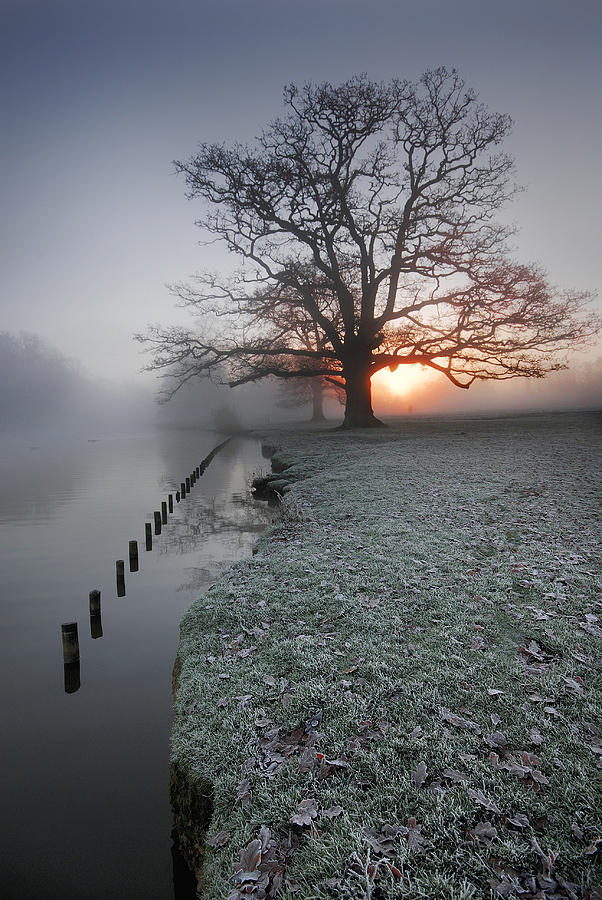 Fresh New Morning  Photograph by John Chivers