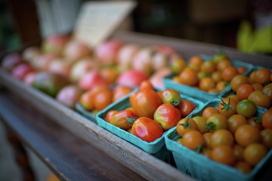Fresh Organic Grape Tomatoes Photograph by Preappy Fresh Organic Grape Tomatoes Photograph by Preappy