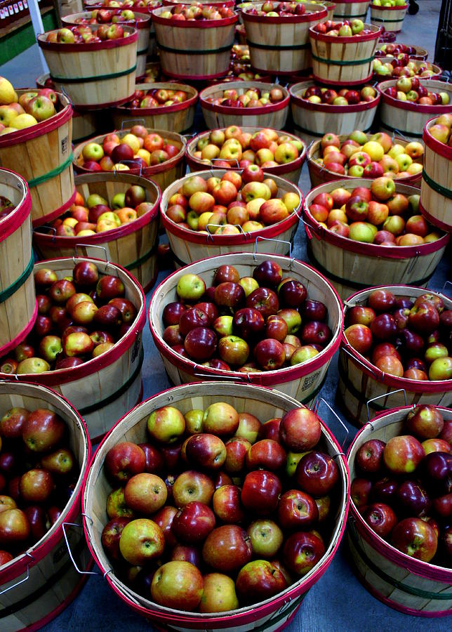 Apple Photograph - Fresh Picked by Laurie Perry