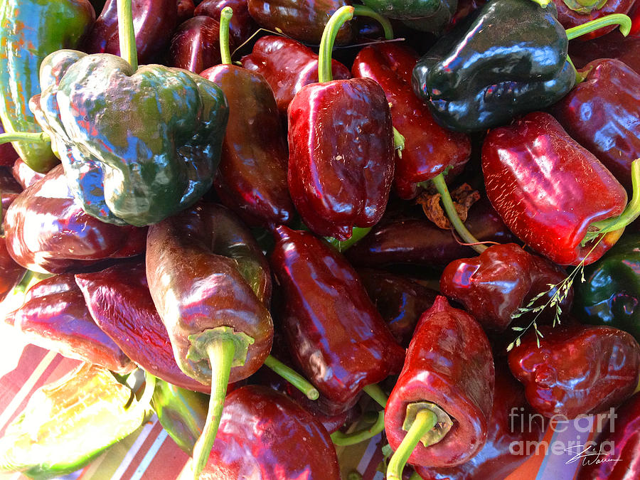 Vegetable Photograph - Fresh Picked Peppers  by Shari Warren