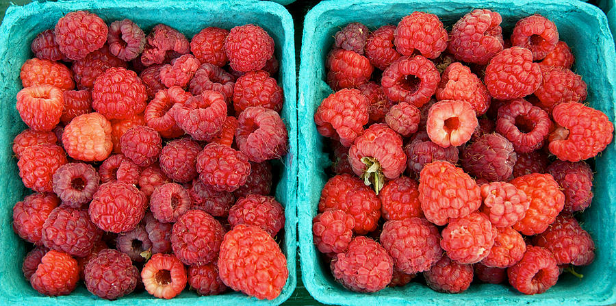 Fresh Raspberries Photograph by David Kay