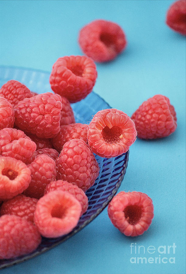 Fruit Photograph - Fresh Raspberries on a Blue Plate by Luv Photography