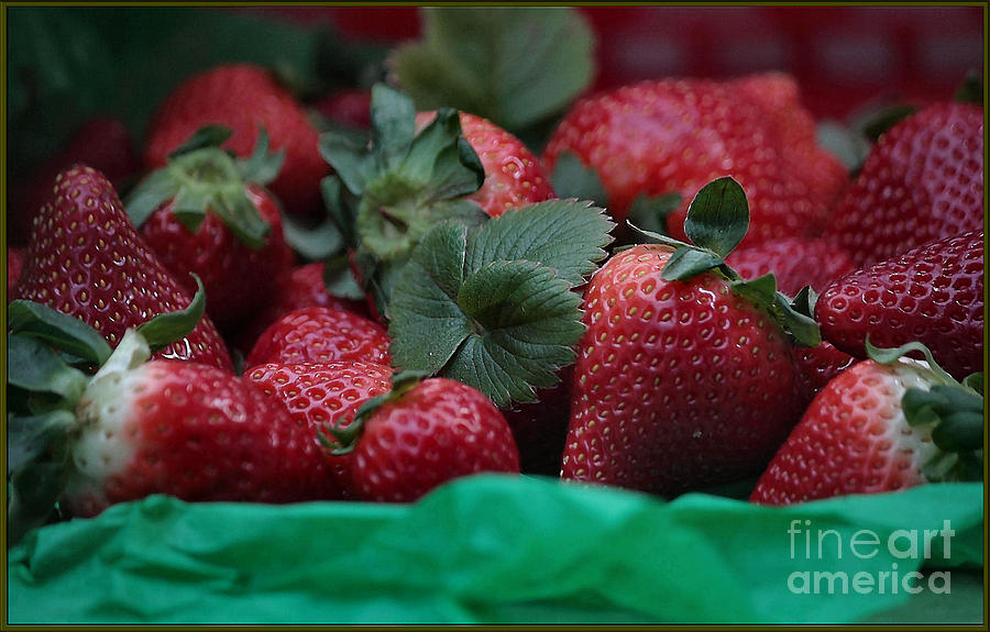 Strawberry Photograph - Fresh Red Berries by Luv Photography