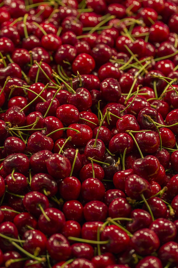 Seattle Photograph - Fresh Red Cherries by Scott Campbell