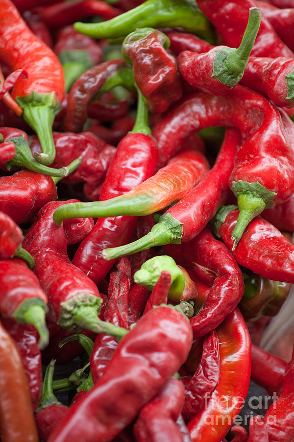 Fresh red chili peppers at local street market in Dunhuang China Photograph by Matteo Colombo