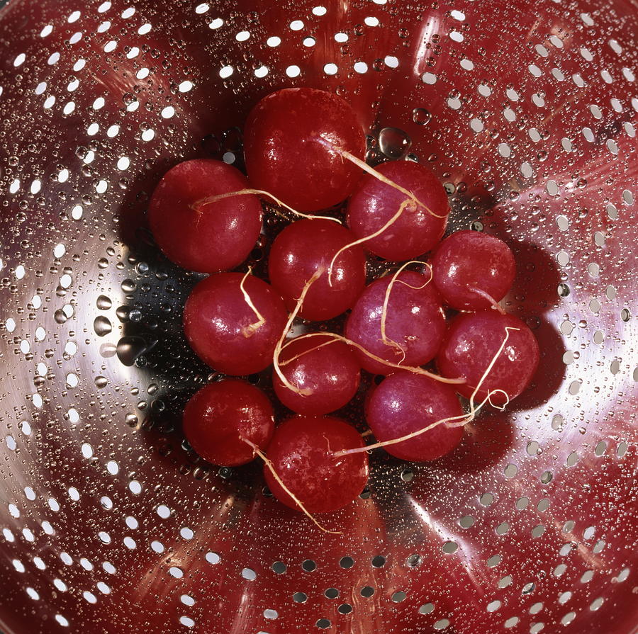 Fresh red radishes Photograph by Ulrich Kunst And Bettina Scheidulin