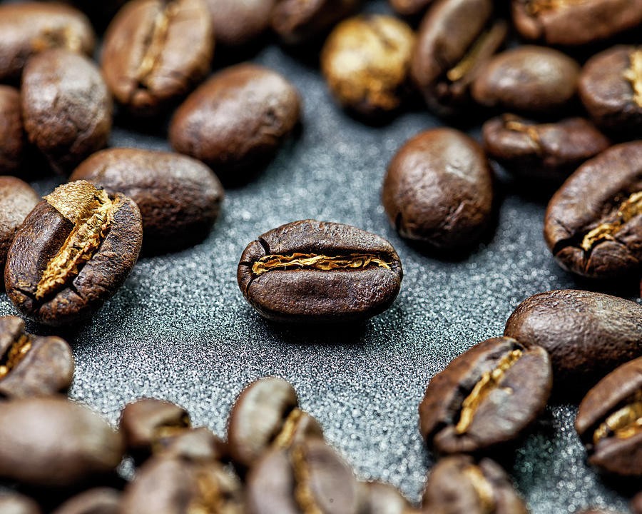 Fresh Roasted Coffee Beans Photograph by Ty Alexander Photography