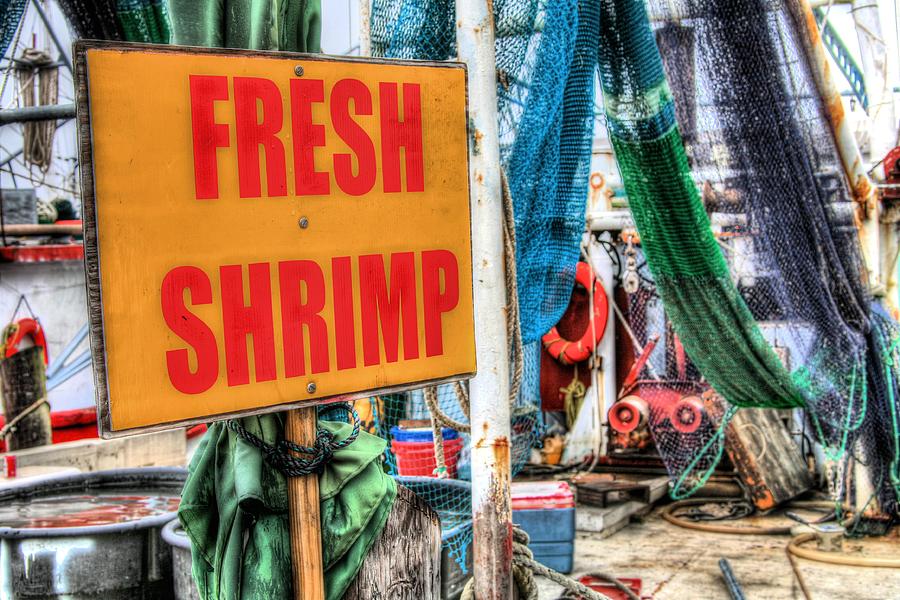 Fresh Shrimp Photograph by JC Findley