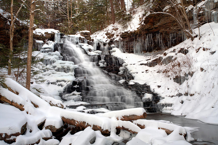 Fresh Snow at the F L Ricketts Waterfall Photograph by Gene Walls