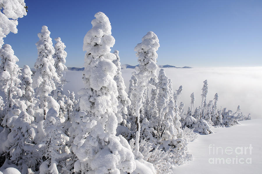 Fresh Snowfall Photograph by Colin Woods - Fine Art America