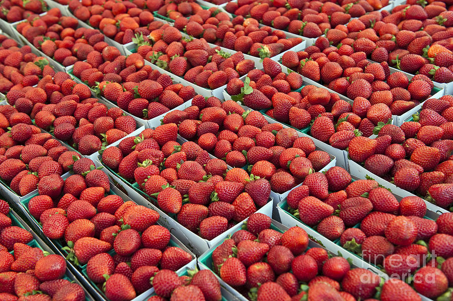 Fresh Strawberries Fruit Display on sale at Farmers Market Photograph by David Zanzinger