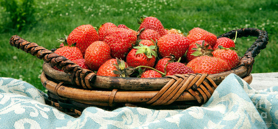 Summer Photograph - Fresh Strawberries in Basket by Iris Richardson