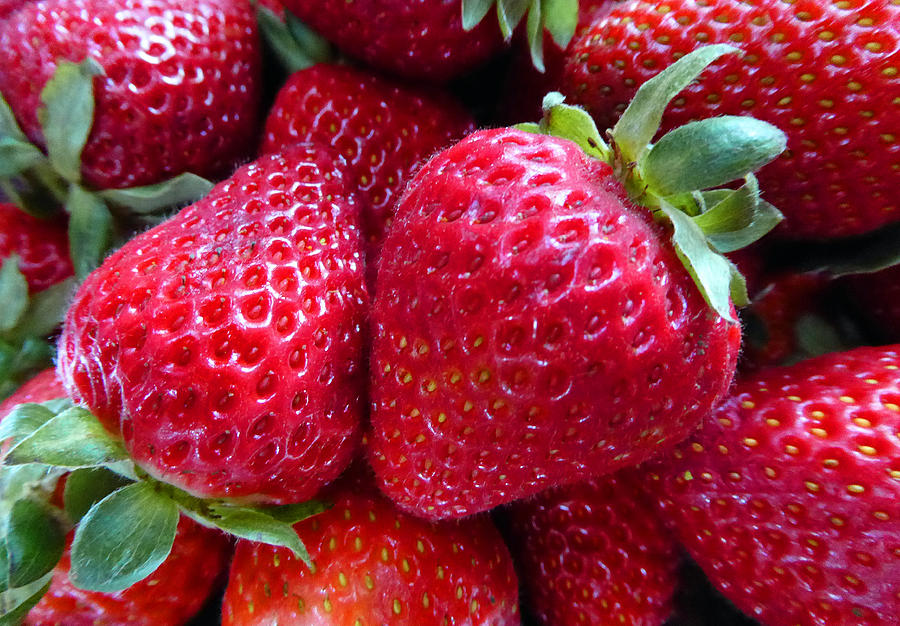 Fresh Strawberries Photograph by Laurie Tsemak