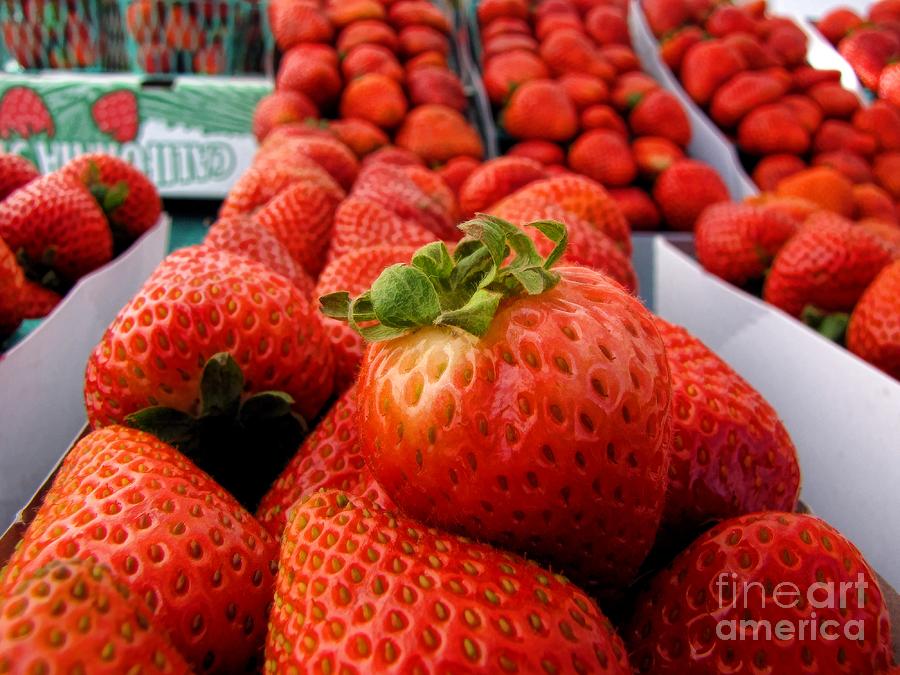 Strawberry Photograph - Fresh Strawberries by Peggy Hughes