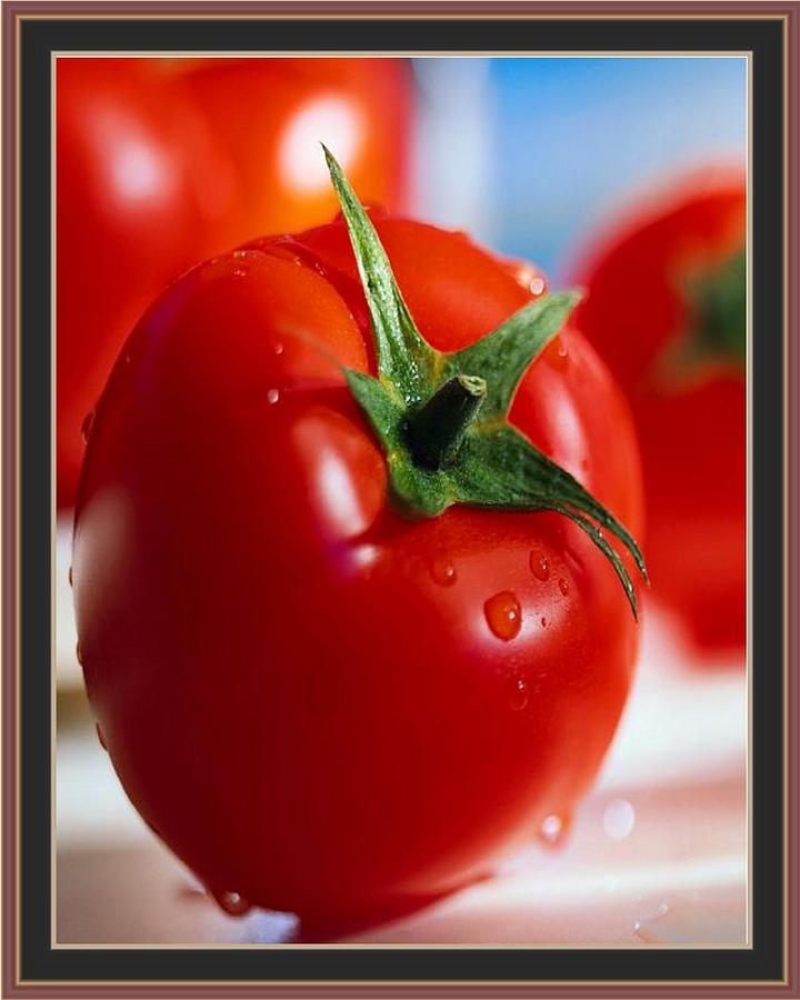 Abstract Digital Art - Fresh Tomato by Everoy Scarlett
