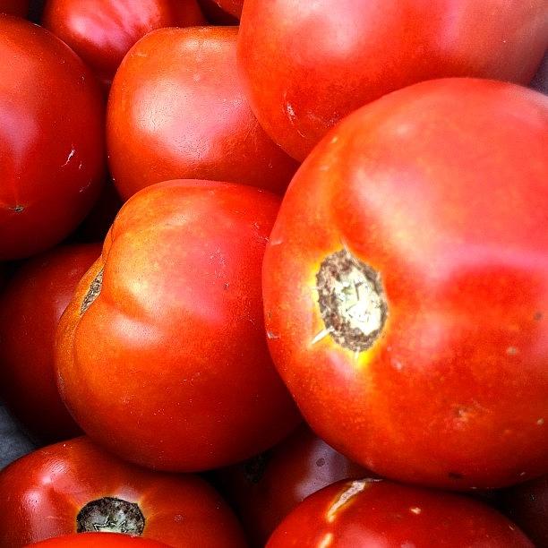 Fresh Tomatoes At The Farmers Market Photograph by Frederick Goodall