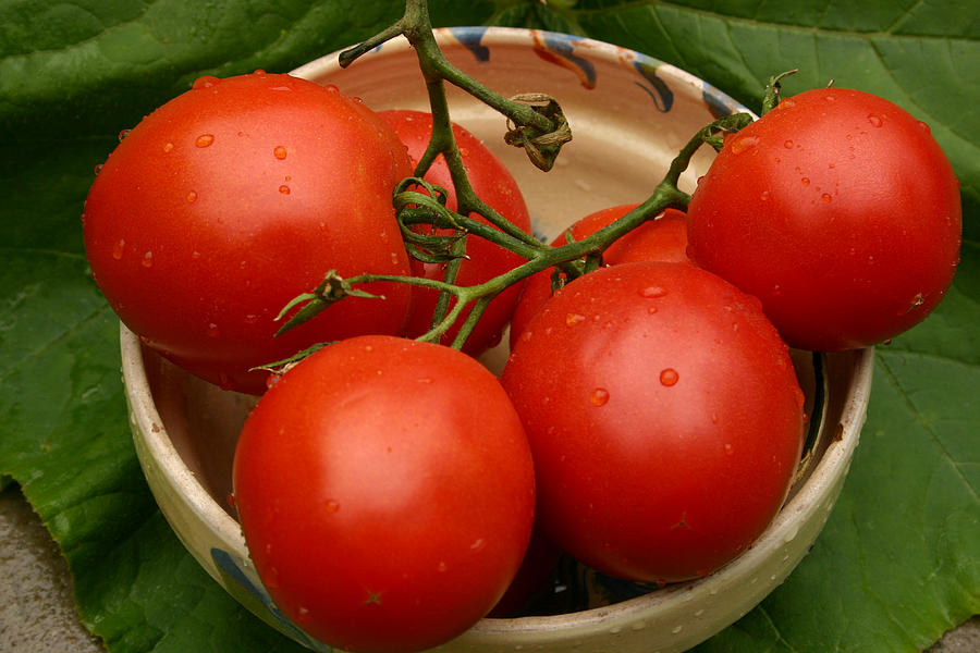 Fresh tomatoes Photograph by Emanuel Tanjala