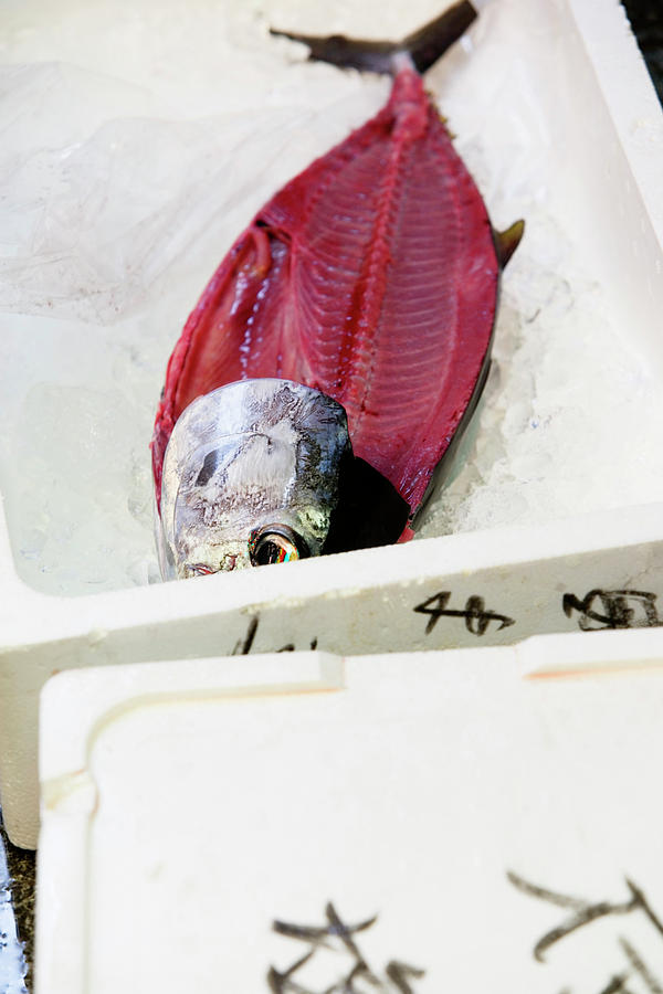 Fresh Tuna On Ice In Fish Market Photograph by Ron Koeberer Fresh Tuna On Ice In Fish Market Photograph by Ron Koeberer