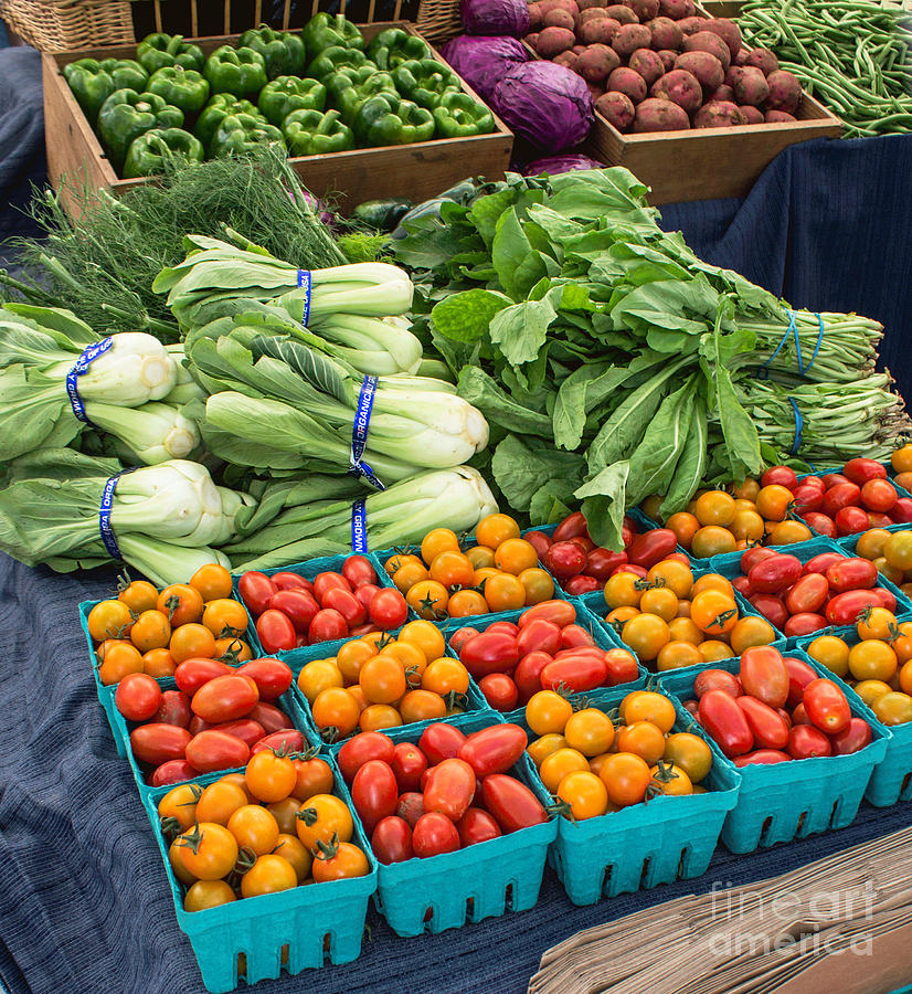 Fresh Vegetables  Photograph by Arlene Carmel
