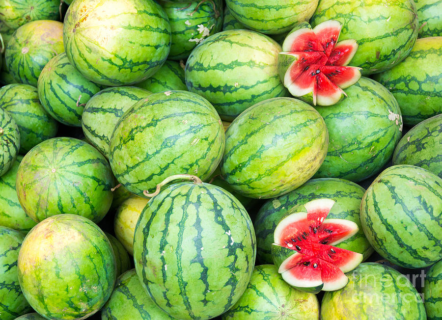 Fresh Watermelons Photograph