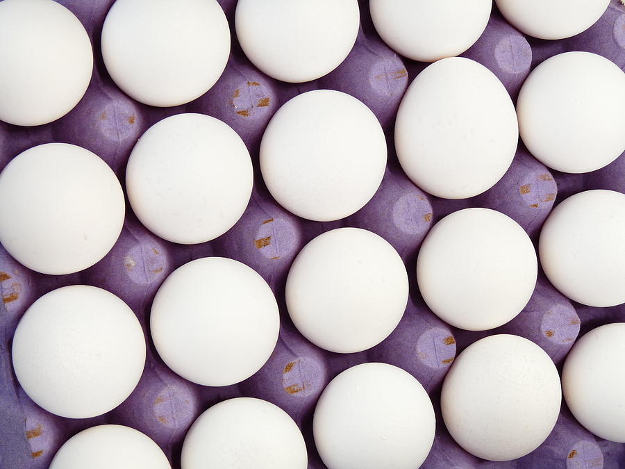 Fresh White Eggs Photograph by Jeff Lowe