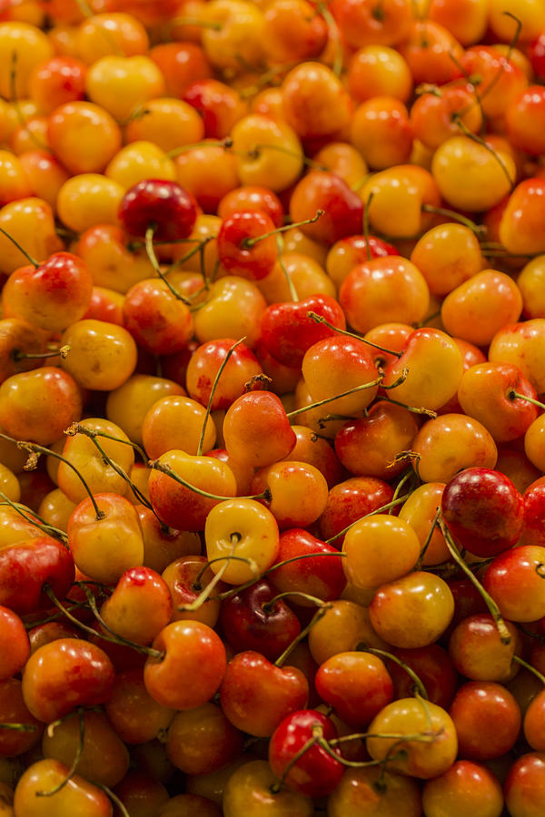 Fresh Yellow Cherries Photograph by Scott Campbell