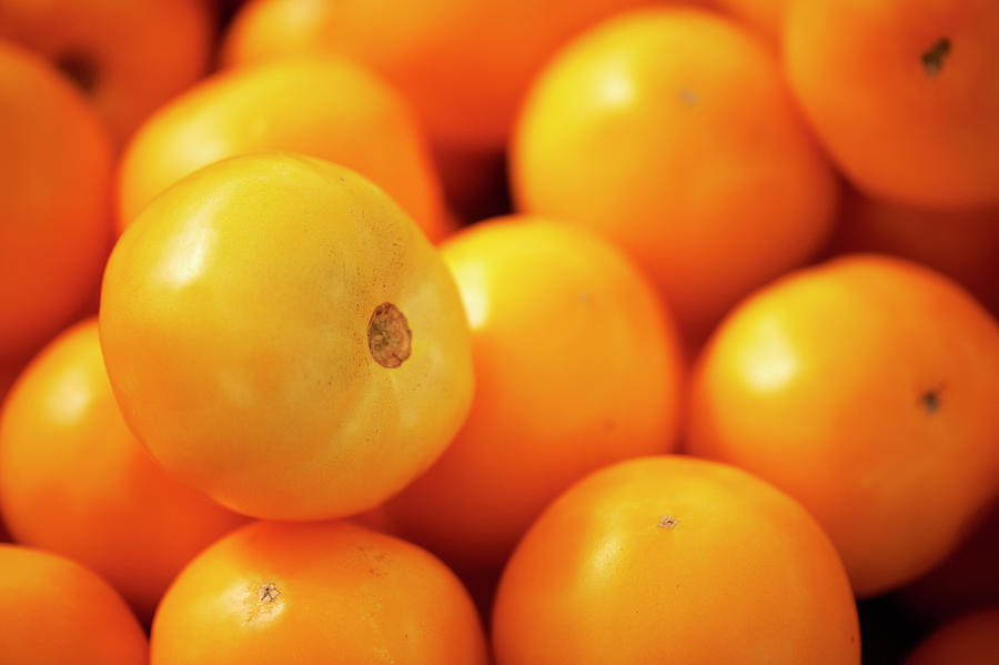 Fresh Yellow Tomatoes Photograph by Cameron Davidson